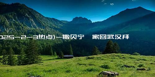 (2025-2-3热点)-撒贝宁一家回武汉拜年 外籍妻子抢眼 温馨家庭引关注